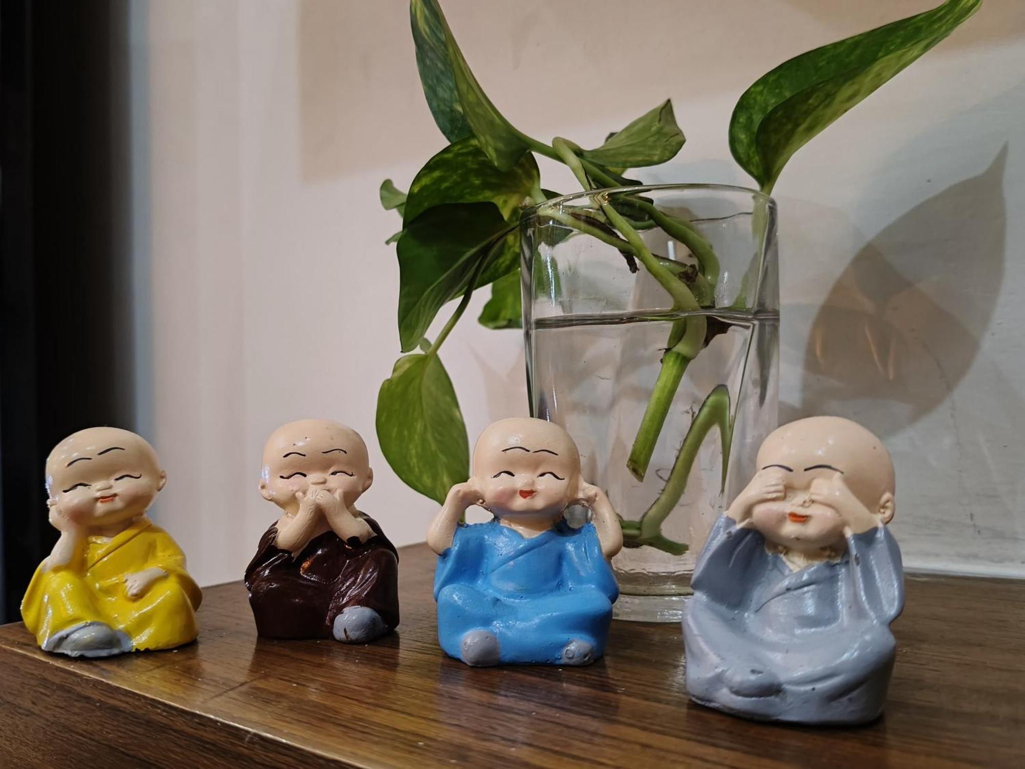 Homestay Kutir-greater Kailash-1 South Delhi