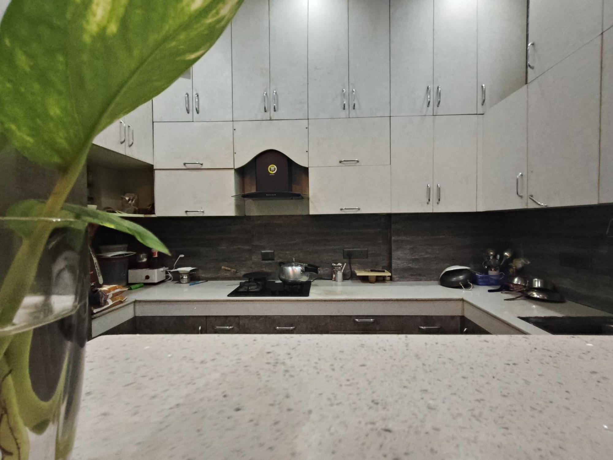 Homestay Kutir-greater Kailash-1 South Delhi New Delhi