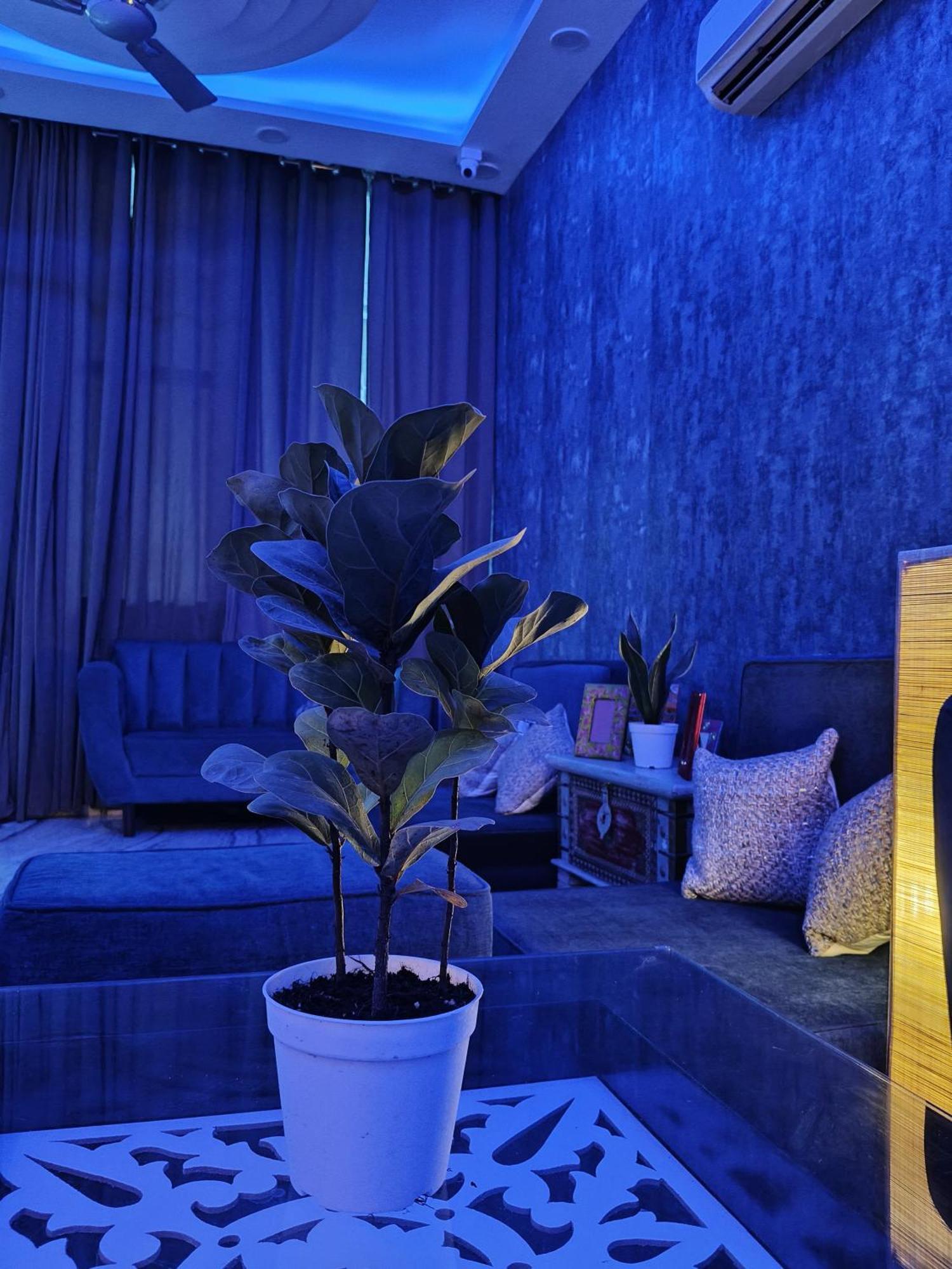 Kutir-greater Kailash-1 South Delhi * New Delhi